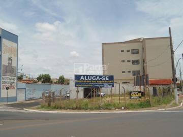 Alugar Comercial / Terreno em Franca.